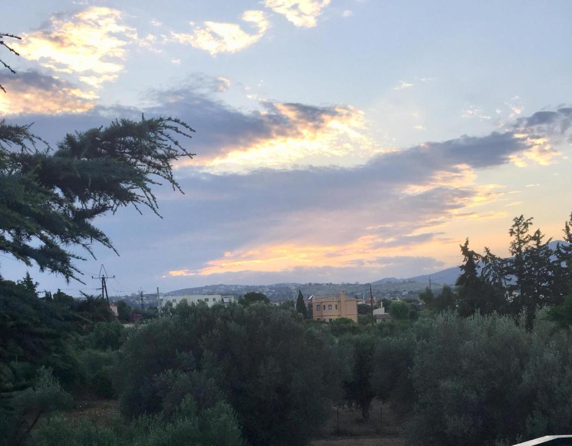 Small Apartment Near Athens Airport Pikérmion Εξωτερικό φωτογραφία